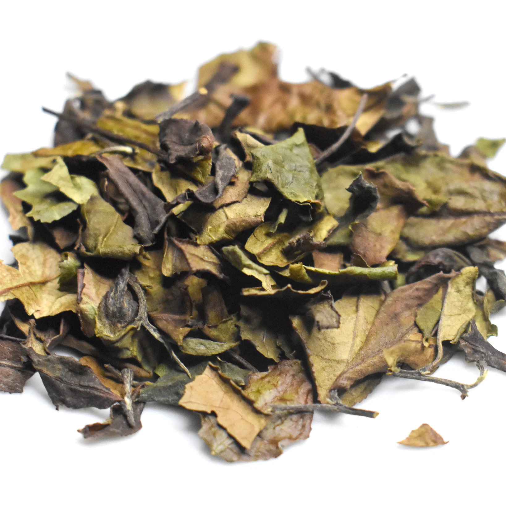 Azuma Tea Garden: Aged Spring Samidori White Tea - Image 3