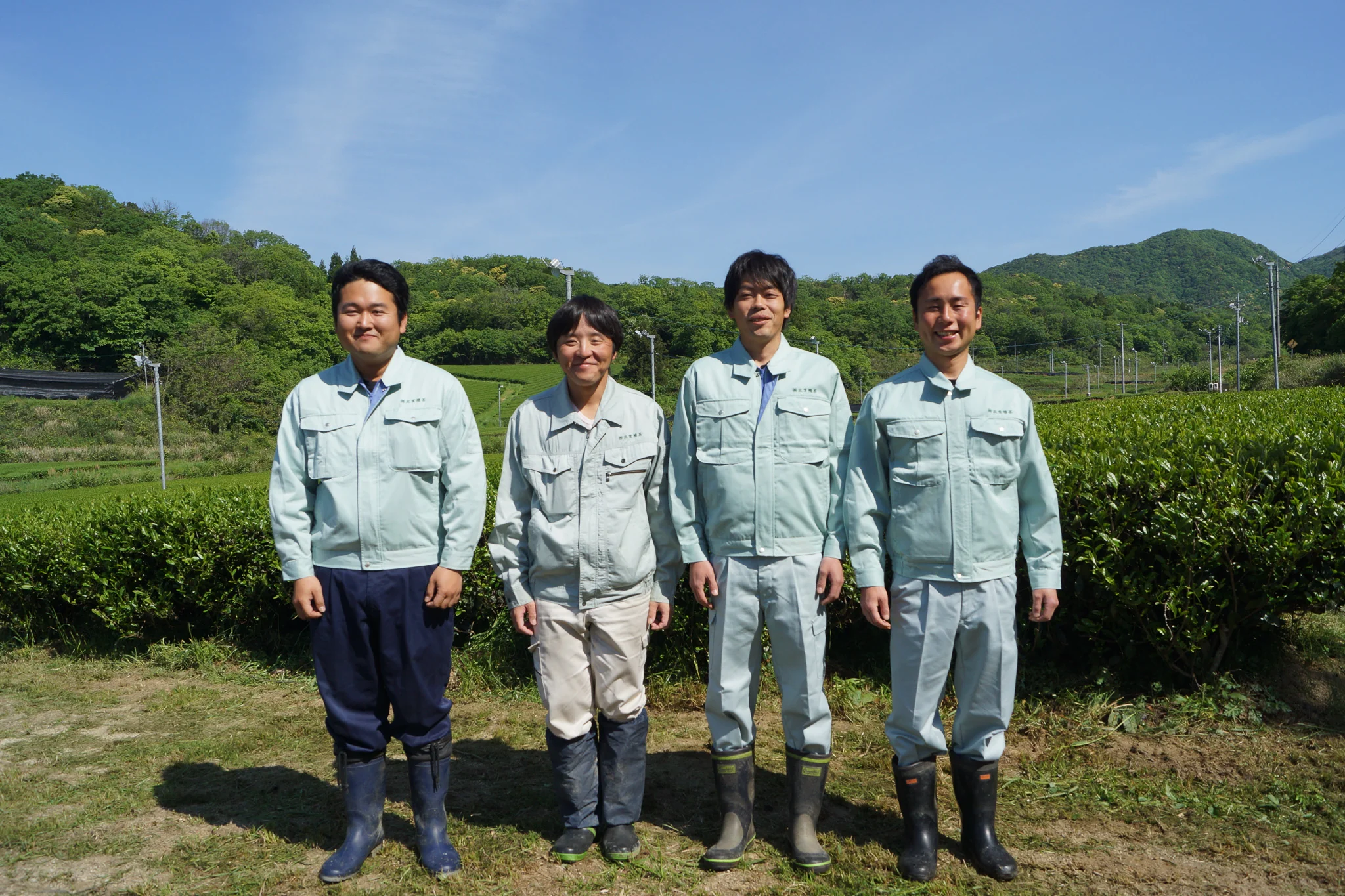 Izumo Seicha: Kiwami Izumocha Sencha 2025 - Image 5