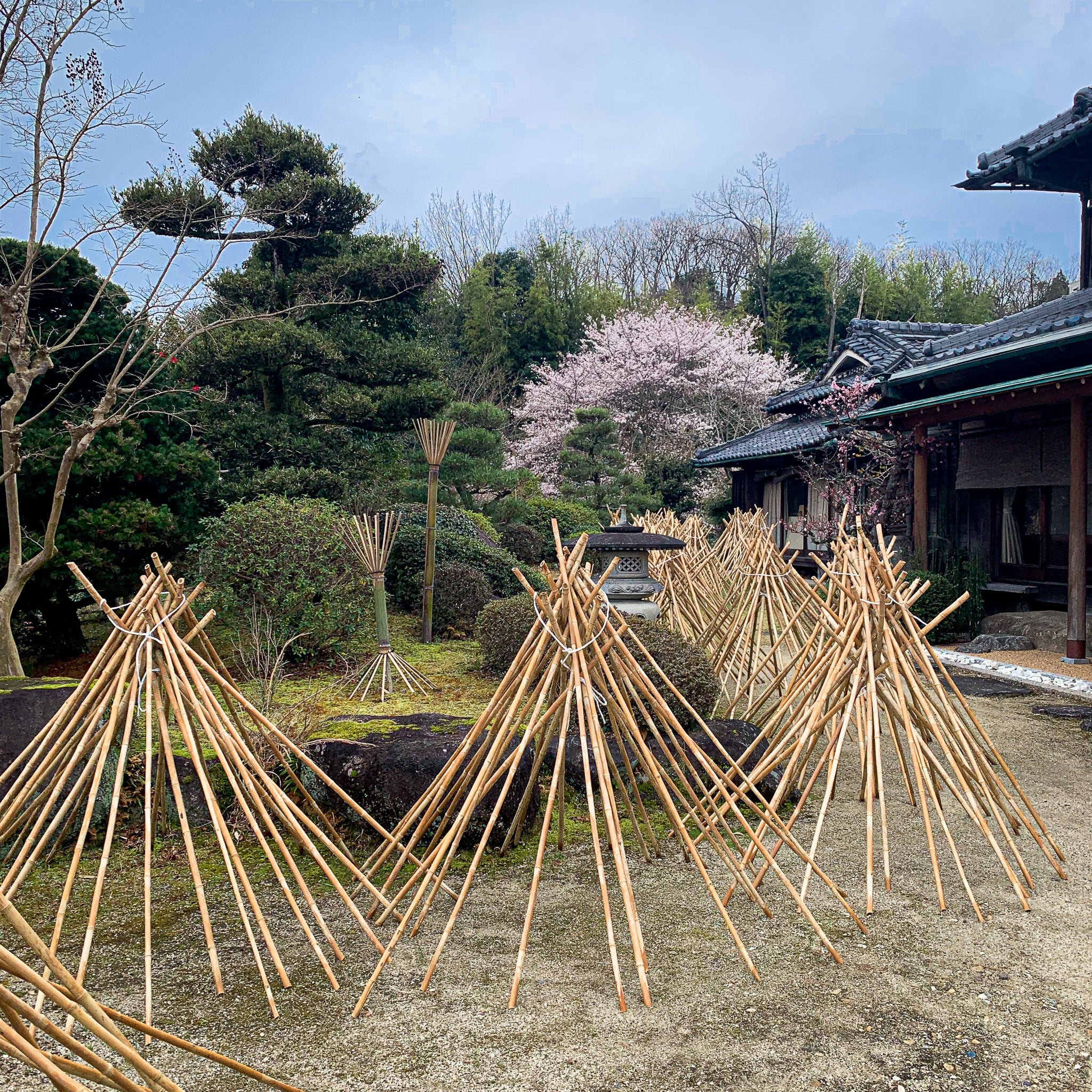 Suikaen Takayama Chasen: Susutake Chashaku - Image 5