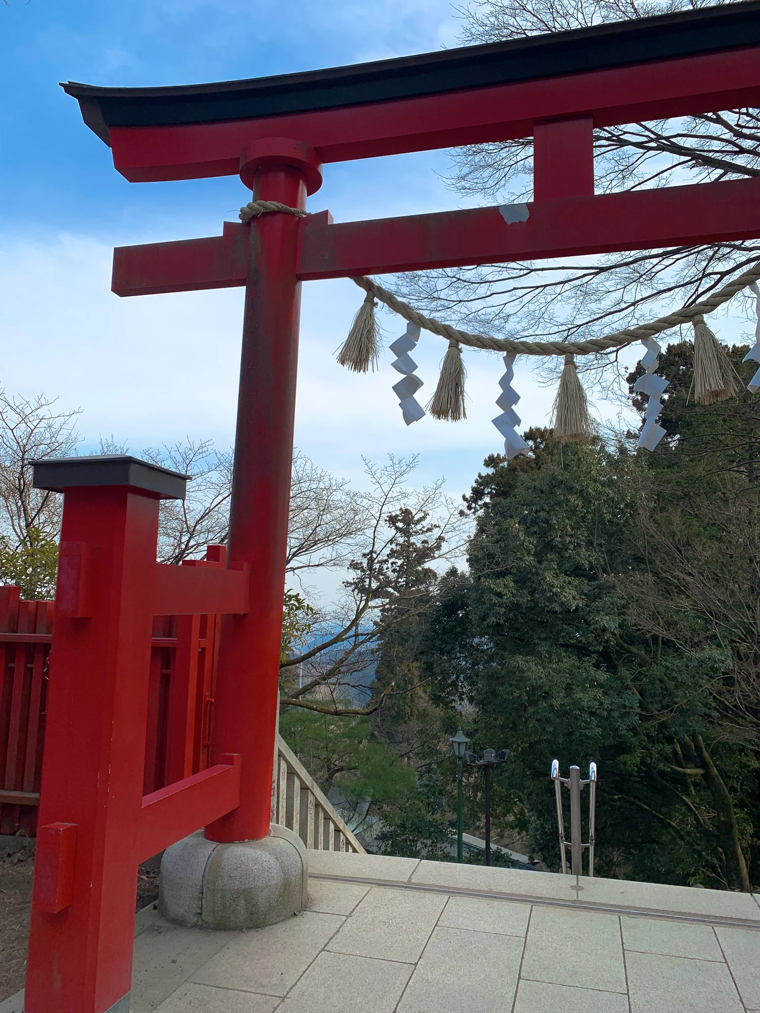 Takao-san Yakuo-in Blended Herbal Tea - Image 5